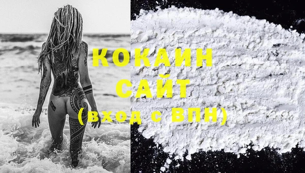 ешки Няндома