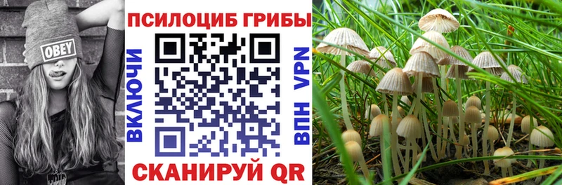 закладка  Прокопьевск  Псилоцибиновые грибы прущие грибы 